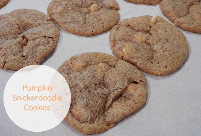 In the Kitchen : Pumpkin Spice Snickerdoodle Cookie Recipe