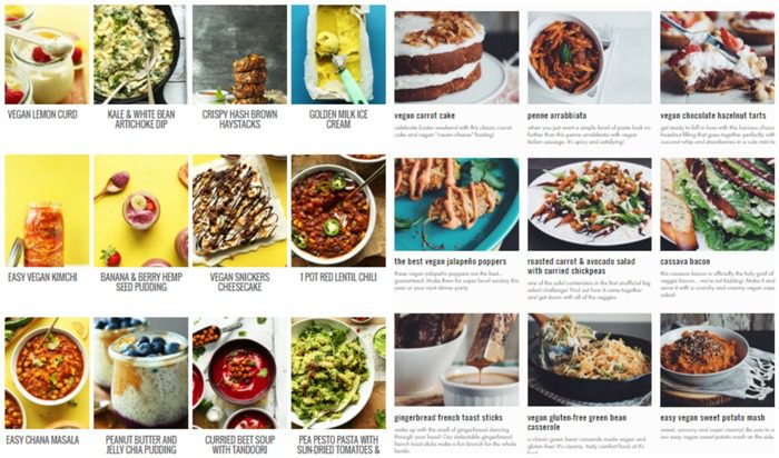 Vegan Food Blogs to Drool Over - www.dreaminlace.com