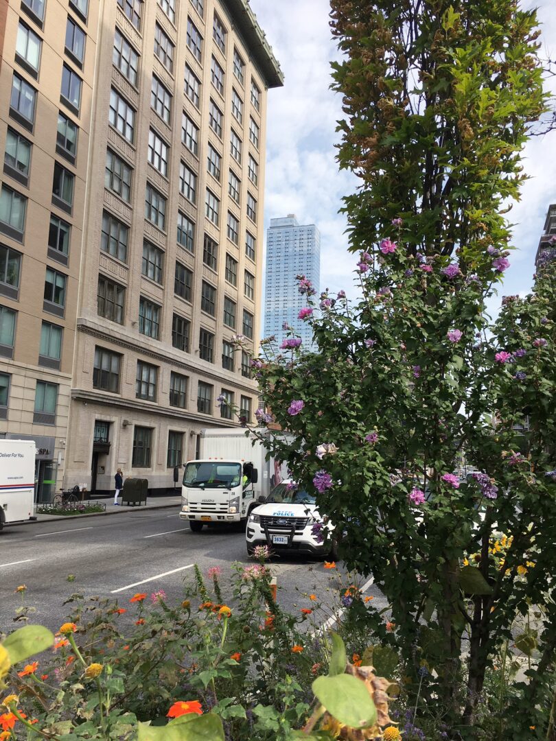 New York Fashion Week Diary : Gardens across from Citizens of Chelsea
