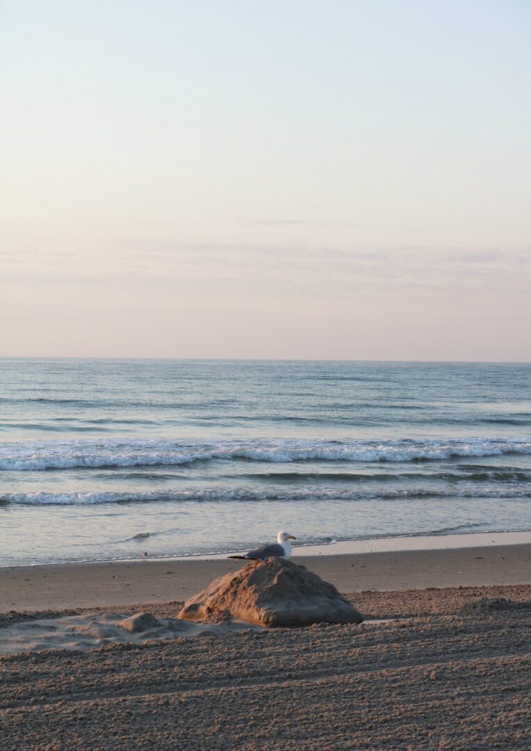 Jersey Shore Photo Diary I Sunrise Over the Atlantic Ocean #Travel #TravelBlogger #TravelPhotography