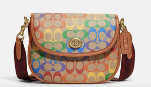 COACH Rainbow Collection I Willow Saddle Bag in Rainbow Signature Canvas