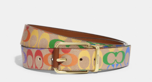 COACH Mens Rainbow Canvas Belt