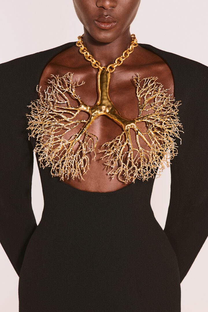 Schiaparelli Fall 2021 Couture Collection by Daniel Roseberry I DreaminLace.com