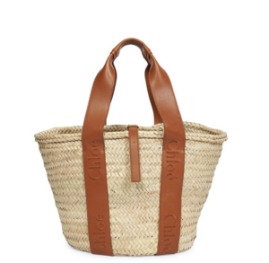 Best Summer 2023 Beach Bags for Every Budget I DreaminLace