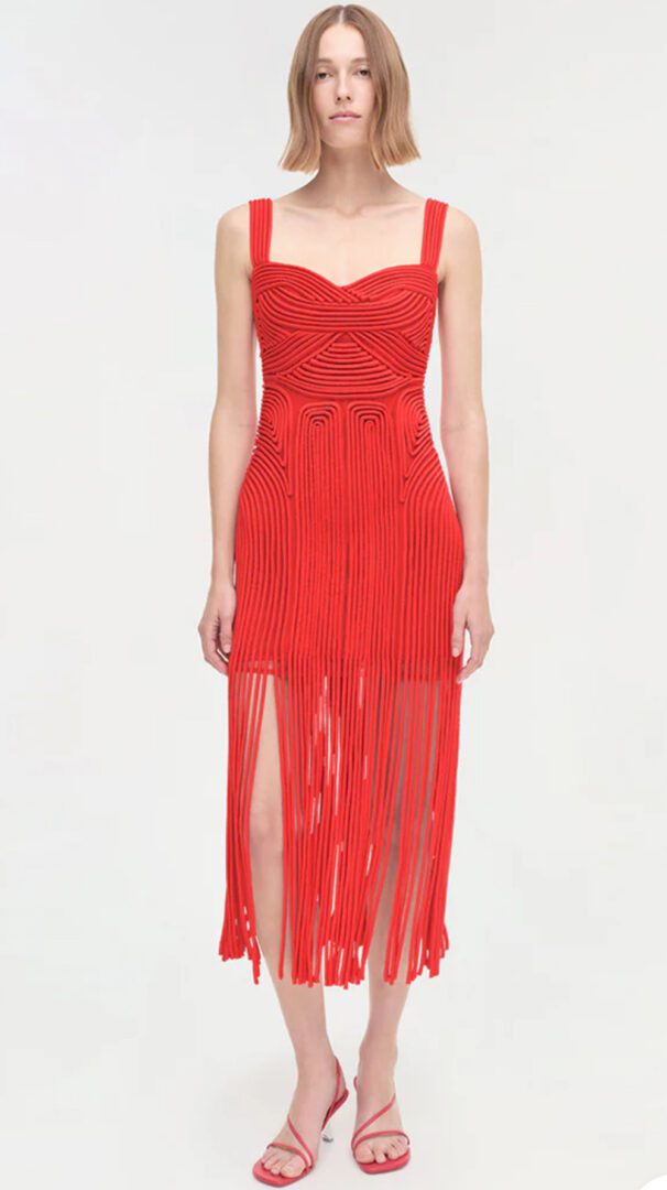 Jonathan Simkhai Party dress edit I fiery red maxi dress with fringe